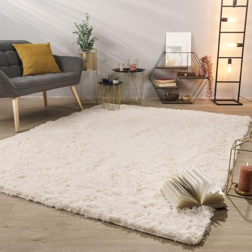 TT Home Tapis De Salon Tapis Shaggy Poil Long Doux Peluche Design Moderne Monochrome, Couleur: Beige...