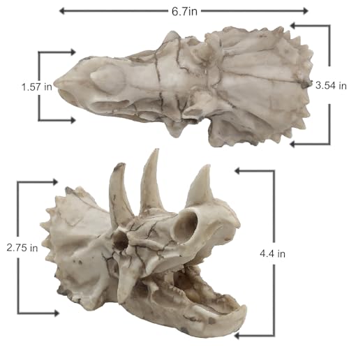 Image of Dinosaur Skull Aquarium Decoration,Fish Tank Decor, 6.7 inchx3.5 inchx4.4 inch | Hideaway for Fish, Natural Look, Fun Underwater Environment