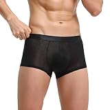 LZH FILTER Herren Boxershorts Eisseide Nylon Spandex Unterwäsche Sexy Seamless Translucent Atmungsaktive Unterhosen 3er Pack