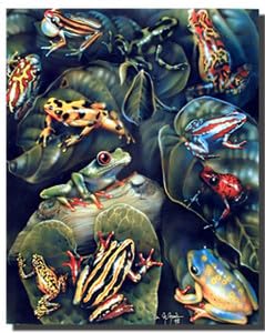 舞台FROGS パンフレットセット Amazon.com: Impact Posters Gallery Frog & Toad Collage Water