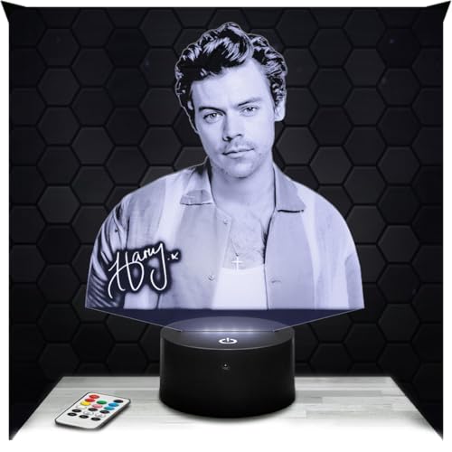 Lampephoto.fr - Harry Styles 3D Lamp Decoration Collection British Pop Singer Gift Idea for Men and Women Harry Styles Night Light Adult Bedroom Decor, Original Christmas, Gift Idea for Men TOP