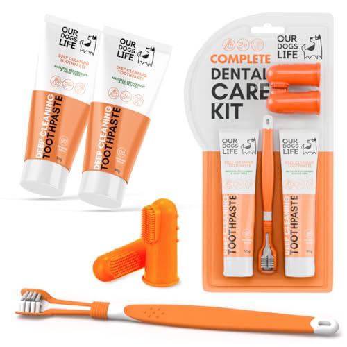 DogsLife Spazzolino da Denti per Cane con Dentifricio | Kit Dentale per Cani Approvato | Spazzolino da Denti per Pulizia Profonda a Tripla Testa per Cani + dentifricio Naturale al 100%