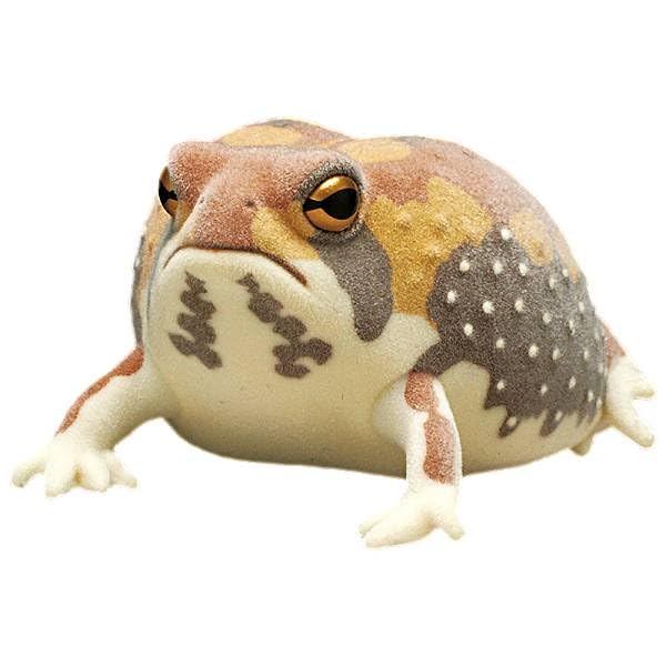 アメトークPlayTalkin' Frog カエル超レア オレンジタグ PlayTalkin' Frog カエルぬいぐるみ 超レア オレンジタグ