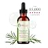 Mielle Organics Rosemary & Mint Hair Oil - Strengthening Biotin Oil Infused Frizzy & Damaged Hair Care - Split Ends & Dry Scalp Treatment to Support Longer, Healthier Strands, 2 Ounce