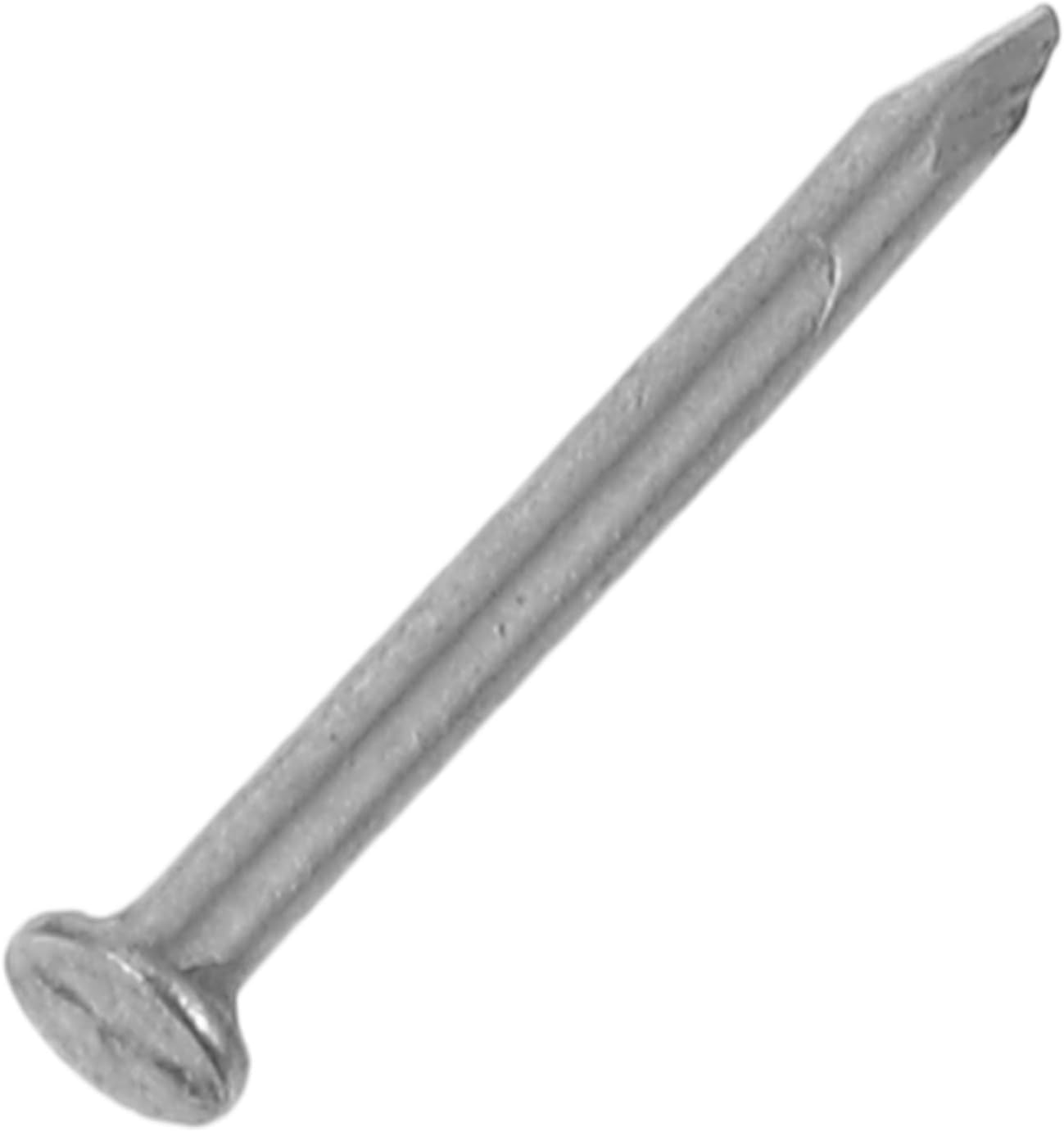 1bag Stainless Tip Nails for Cement Assorted Wall Nails for Construction Repairs Lightweight Easy to Use for Various Applications