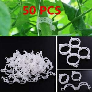 Generic B2B9 BCC1 35D2 White Fashion Useful Plant Clip Fixed New Plants