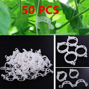 Generic B2B9 BCC1 35D2 White Fashion Useful Plant Clip Fixed New Plants
