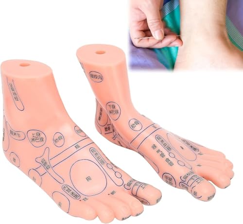 Human Foot Acupuncture Teaching aids Pressure Point Massage Tools, Foot Acupuncture Model, Suitable for Educational Human Model Classroom Research Display School Supplies