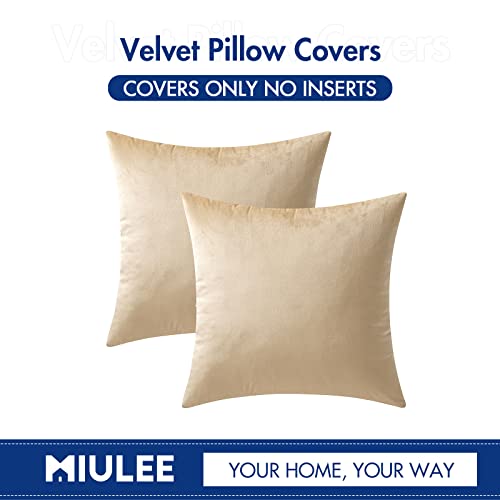Image of MIULEE Pack of 2 Beige Velvet Throw Pillow Covers 12x12 Inch Soft Solid Decorative Square Set Cushion Cases for Spring Couch Sofa Bedroom