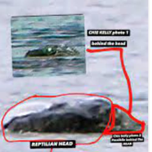 Couverture de ADVANCED CRYPTOZOOLOGY EXPLORATION SOCIETY