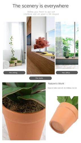 Plantes artificielles à feuilles persistantes et pots durables - 4