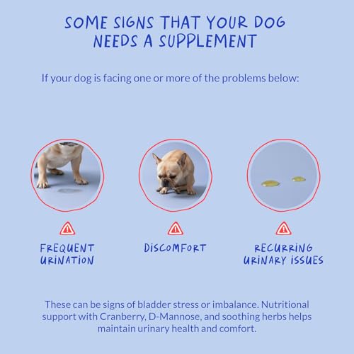 Image of Cranberry Chews for Dogs - Bladder Health, UTI & Incontinence Support