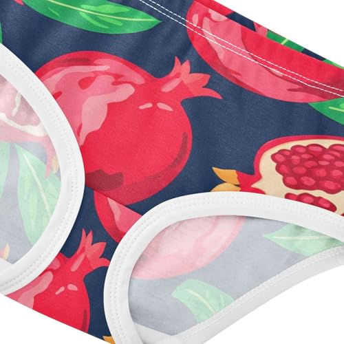 Girls Underwear Toddler 2t Cotton Panties Little Girl Fun Print Briefs Kids Undies Red Pomegranates Green Dark Blue4