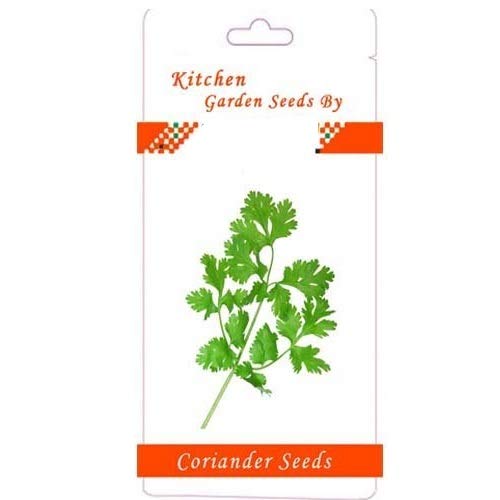 Image of VIBEX- XLL-509 HYBRID CORIANDER SEEDS FOR CORIANDER PLANT-600 x Seeds