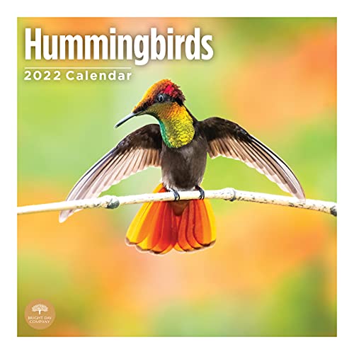 Calendario de pared de colibríes 2022 por Bright Day Cover