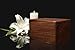 Tree of Life Hand-Carved Rosewood Urn Box - Medium