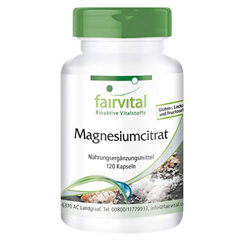 Magnesium Kapseln - HOCHDOSIERT - 100mg elementares Magnesium pro Kapsel - aus Magnesiumcitrat - VEGAN - 120 Kapseln