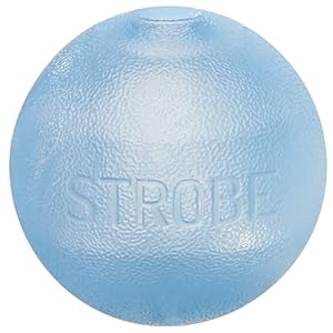 Outward Hound by Planet Dog Strobe Light Up LED Ball Dog Toy Blue