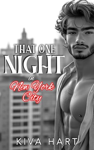 That One Night in New York City: One Night. One Stranger. One Secret That Could Destroy Everything.
