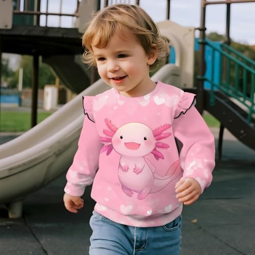 Renewold Girls Sweatshirts Pullover Ruffle Long Sleeve Shirts Toddler Girl T-Shirts Kids Blouses Soft Comfy Tee Tops3