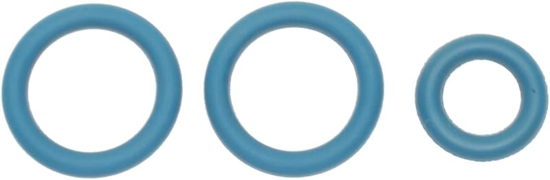 O-Ring do regulador de pressão da injeção de combustível Standard Motor Products SK80 – 1 unidade