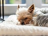 Hundedecke Heaven von TrendPet die gefütterte Liegedecke, Wendedecke für Hunde und Katzen, Beige