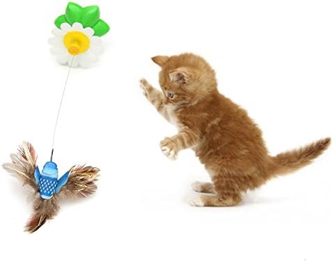 dancing bird toy