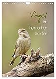 Vögel im heimischen Garten (Wandkalender 2026 DIN A4 hoch), CALVENDO Monatskalender: Vogelbilder aus dem heimischen Garten (CALVENDO Tiere)