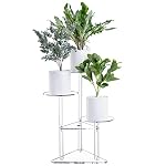 Plant Stands Acrylic