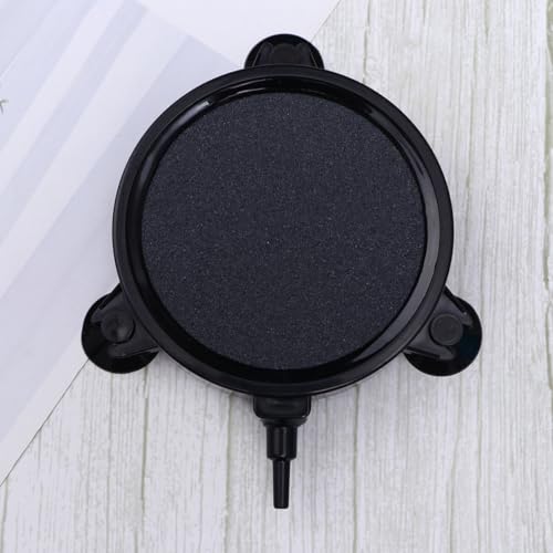 DEARMAMY p_fGAXg[ zՕtZ~bN CAׂ_f  ANAEp  GrɐVNȋC