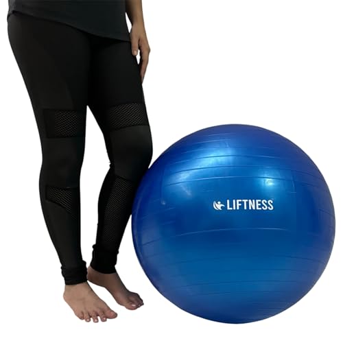 Bola de Ginástica Pilates Fisioterapia Pélvica 65cm Azul Liftness Dafoca Sports