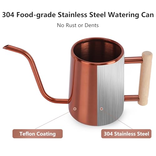Image of Watering Can Indoor Plants, 35 oz /1000 ml Metal Stainless Steel Watering Can Pot with Long Spout for Indoor House Plants Bonsai Outdoor Garden Flower Decorative (Copper)