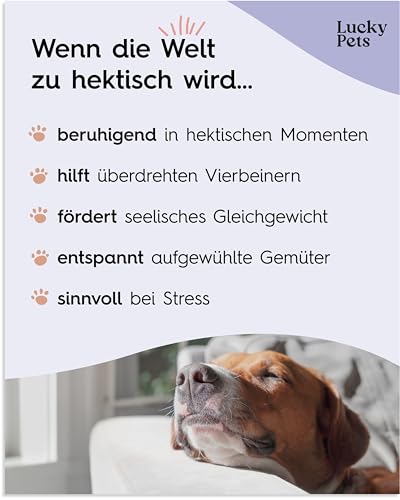 Lucky Pets Beruhigungstabletten für Hunde 150 Stück – Mit L-Tryptophan, Baldrian, Hopfen & Taigawurzel – Für Silvester, Gewitter, Reisen & Alleinsein – Ergänzungsfuttermittel – Made in Germany