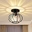 Black Ceiling Light
