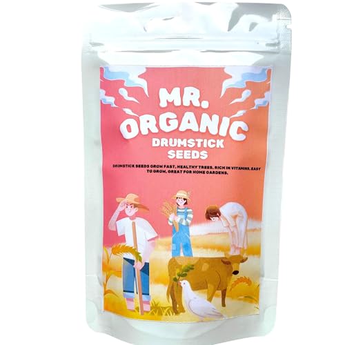 Mr.Organic Drumstick Moringa Seeds For Home Garden (45 To 50 Seeds) 15 Gram | Vegetable Seeds for Home Gardening | Vegetable Planting Seeds for Kitchen | High Germination Rate