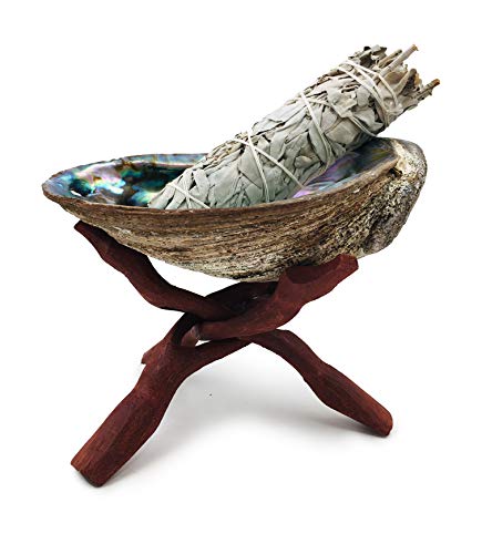 Premium Bundle with 7 Inch Abalone Shell, Stained...