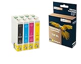  QUALITONER - 4 Cartouches Compatible pour EPSON T29 XL T29XL Noir + Cyan + Magenta + Jaune (Fraise) pour Epson Expression Home XP-235 XP-240 Series XP