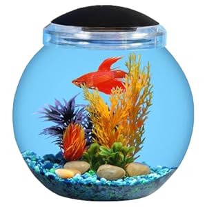 Koller Products 1-Gallon Globe Fish Bowl, Impact- Resistant Plastic Aquarium Starter Kits with LED Lighting, Buit-in Timer, Crystal-Clear Clarity, Desktop Fish Tank for Home Décor