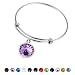 Silver February Jewelry Bangle Bracelet-Stainless Steel Adjustable Amethyst Charm Birthstone Bracelets Birthday Gifts for Women
