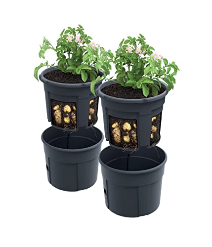 PAFEN 2X Kartoffelanbau Kartoffel-Pflanztopf 392 x 316 mm - Kartoffel-Anzuchttopf Gemüse Kartoffeln Pflanzkübel Pflanztopf