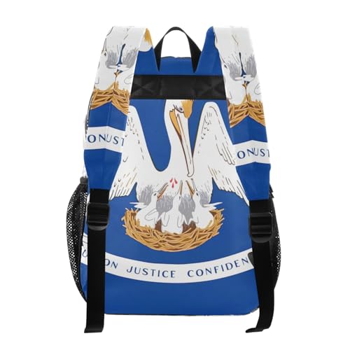 Clear Backpack for Women Louisiana State Flag Girls Backpack for Kids Approved See through Bag3
