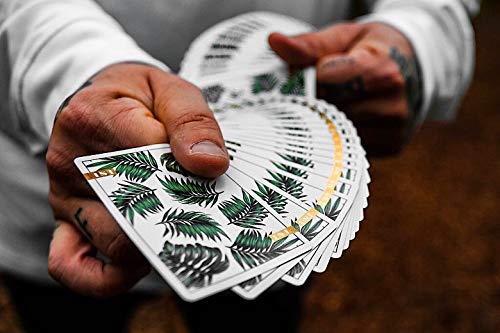 Preisvergleich Produktbild D52 1st Playing Cards V3
