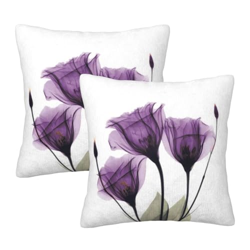 Wynrib F̉ X[s[ Jo[ 2Zbg vbV Jo[  BWbp[ \tg XNGA NbV Jo[ z[ JE` \t@[ peBI Qp JE`Ɂi22"x22" j