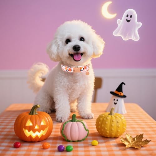 Image of Halloween Dog Collar with Metal Buckle Gift Pumpkin Dog Collar for Small Medium Large Girls or Boys Dogs Cute Durable Comfortable Pet Collars