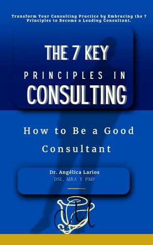 The 7 Key Principles In Consulting: How to Be a Good Consultant
