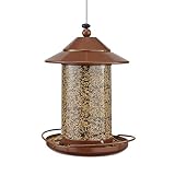 Birdwise Wild Bird Feeder – Outdoor Yard Garden - Metal - Hanging - Over 2 lbs. Capacity - Water Res