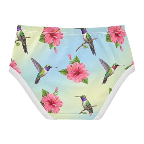 Girls Underwear Toddlers 2t Cotton Girl Panties Cute Cartoon Briefs Girls Undies Colorful Hummingbirds Pink Hibiscus2