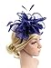 Zivyes Tea Party Fascinators Derby Hats Fascinator Pillbox Hat Feather Headpiece for Wedding Church