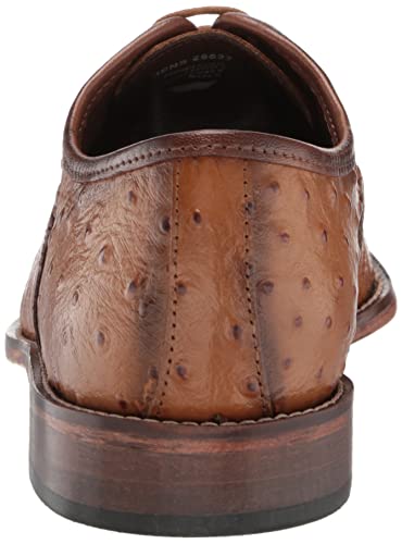 STACY ADAMS Men's Rodano Cap Toe Oxford3