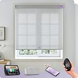 Graywind Motorized Light Filtering Double Cell